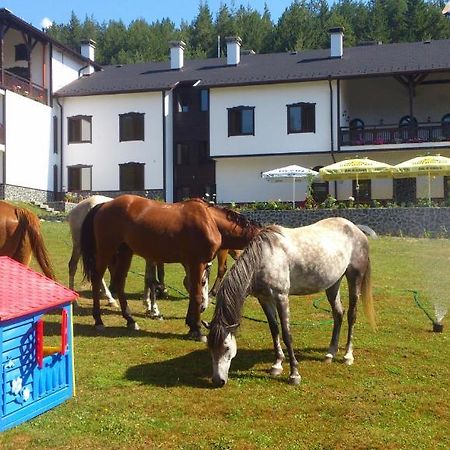 Rusaliite Adventure House Bachevo (Blagoevgrad) Exterior foto