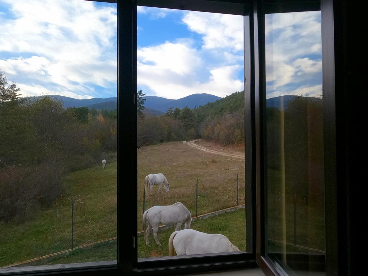 Rusaliite Adventure House Bachevo (Blagoevgrad) Exterior foto