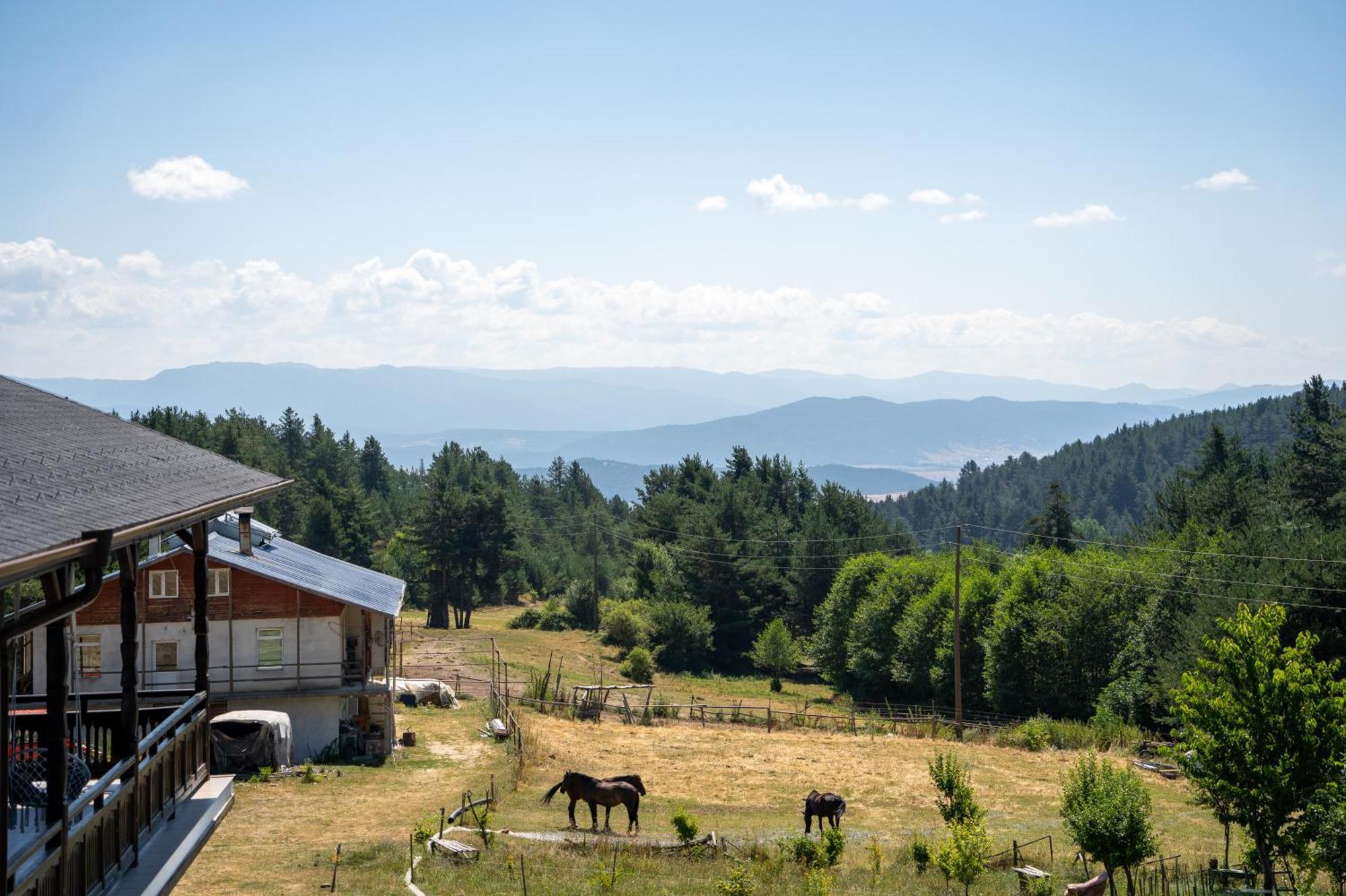Rusaliite Adventure House Bachevo (Blagoevgrad) Exterior foto