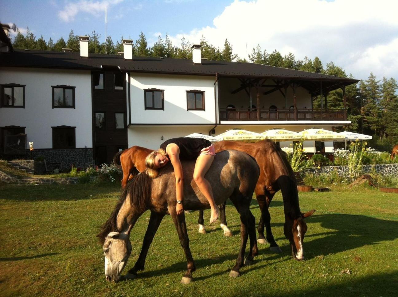 Rusaliite Adventure House Bachevo (Blagoevgrad) Exterior foto
