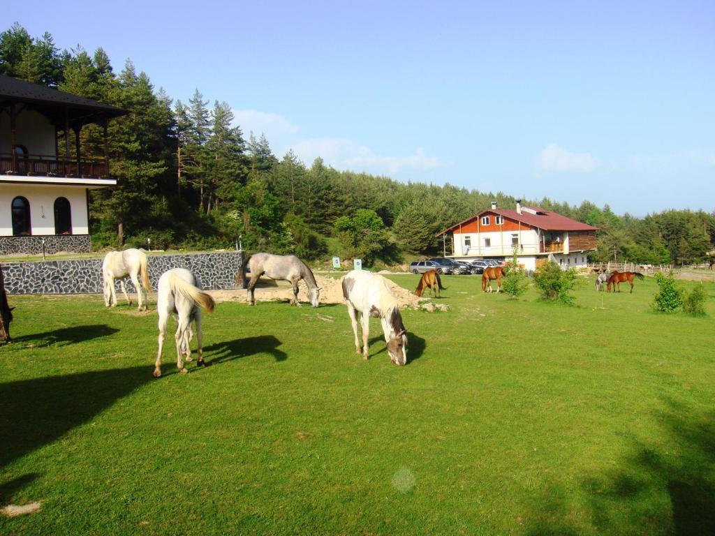 Rusaliite Adventure House Bachevo (Blagoevgrad) Exterior foto