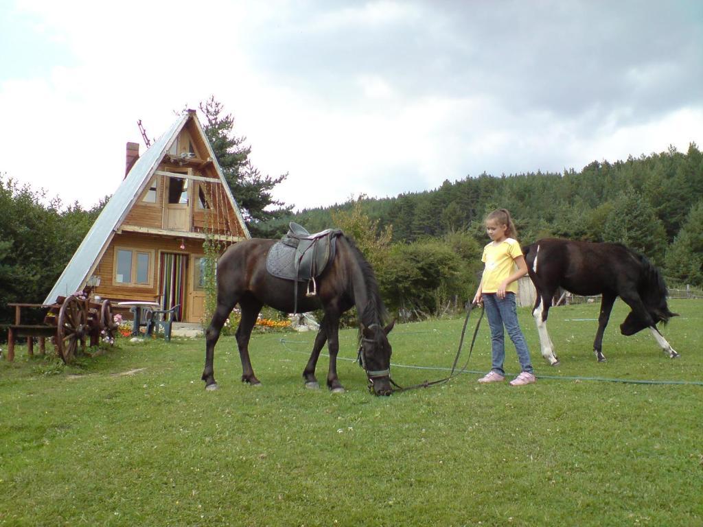 Rusaliite Adventure House Bachevo (Blagoevgrad) Exterior foto