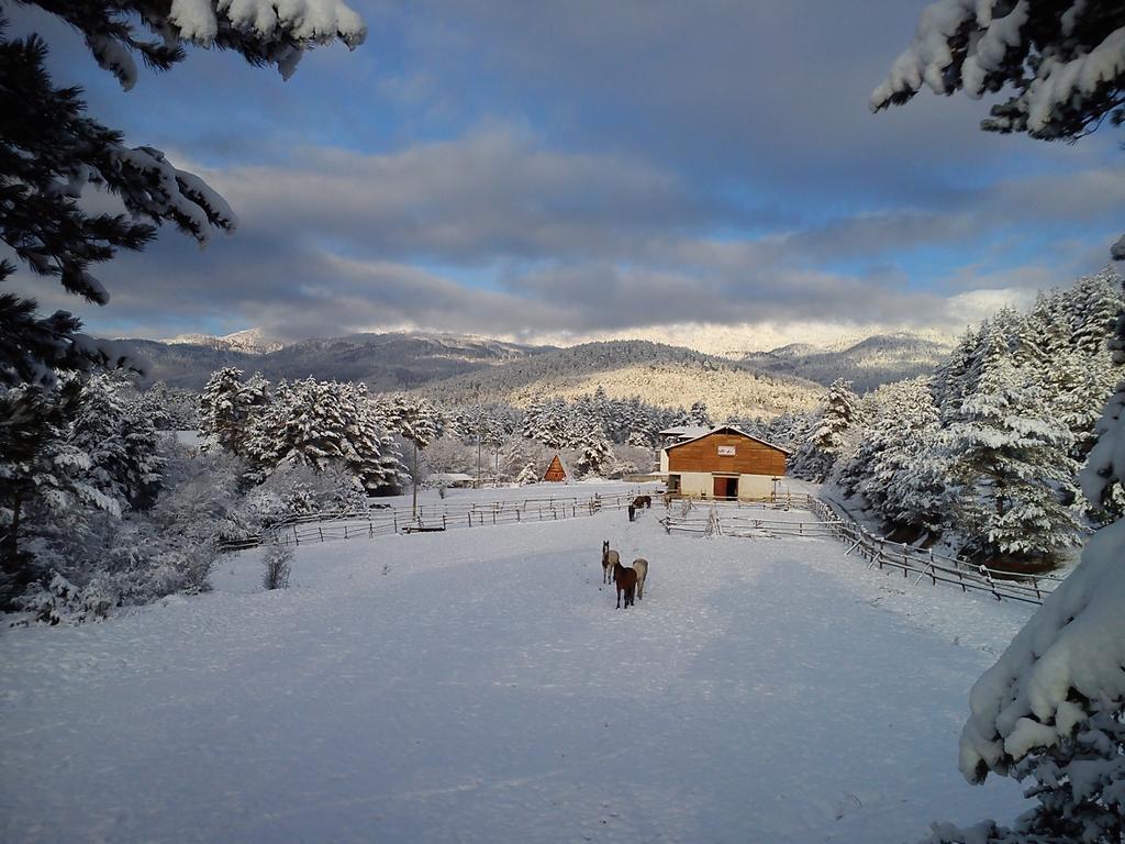 Rusaliite Adventure House Bachevo (Blagoevgrad) Exterior foto